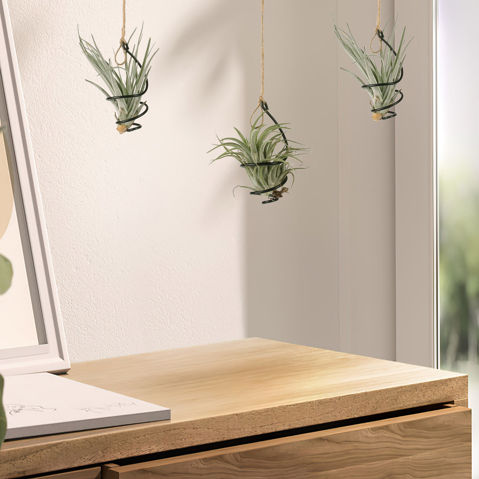 Air Plant Tillandsia - 30 قطعة حامل نباتات هوائية معدني