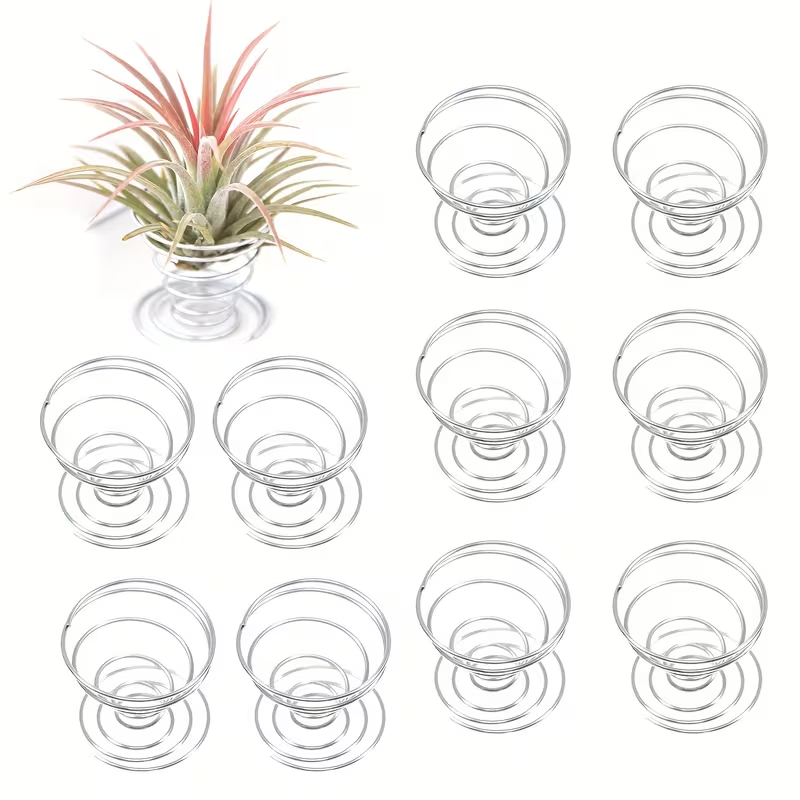 Air Plant Tillandsia - 1/10 قطعة من مجموعة حوامل الزنبرك