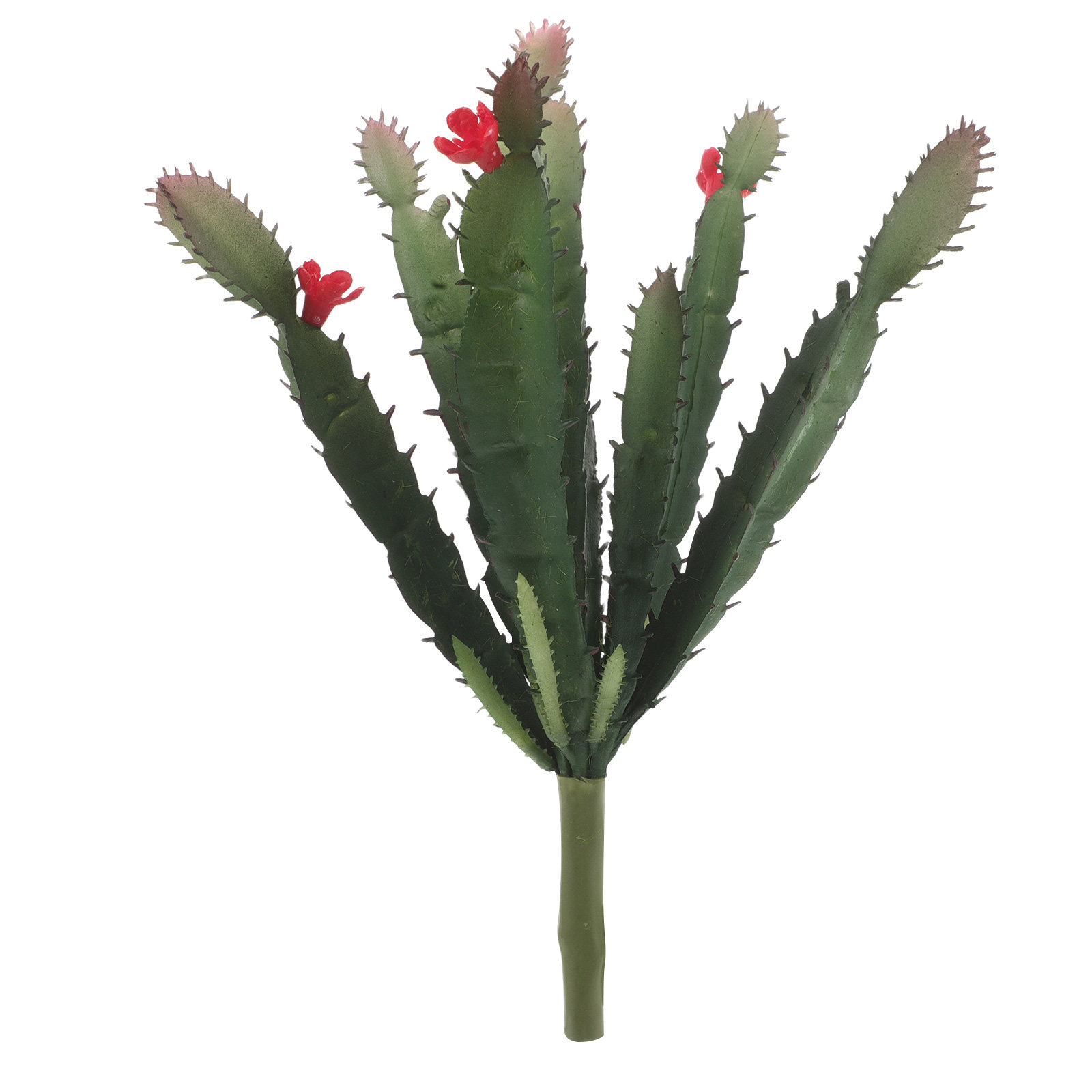 Succulent Arrangement Mini - ترتيب نباتات صناعية صغيرة واقعية على