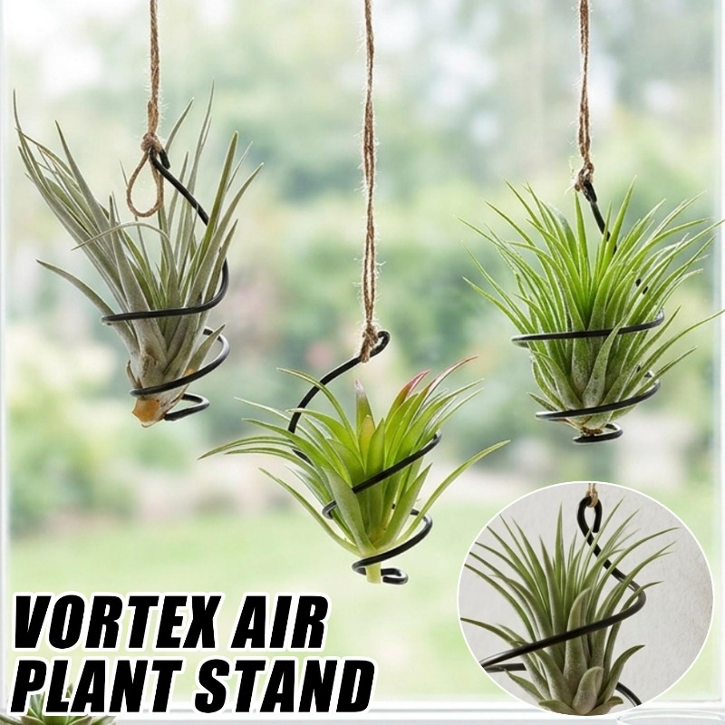 Air Plant Tillandsia - حاملات نباتات هوائية معلقة مميزة مع