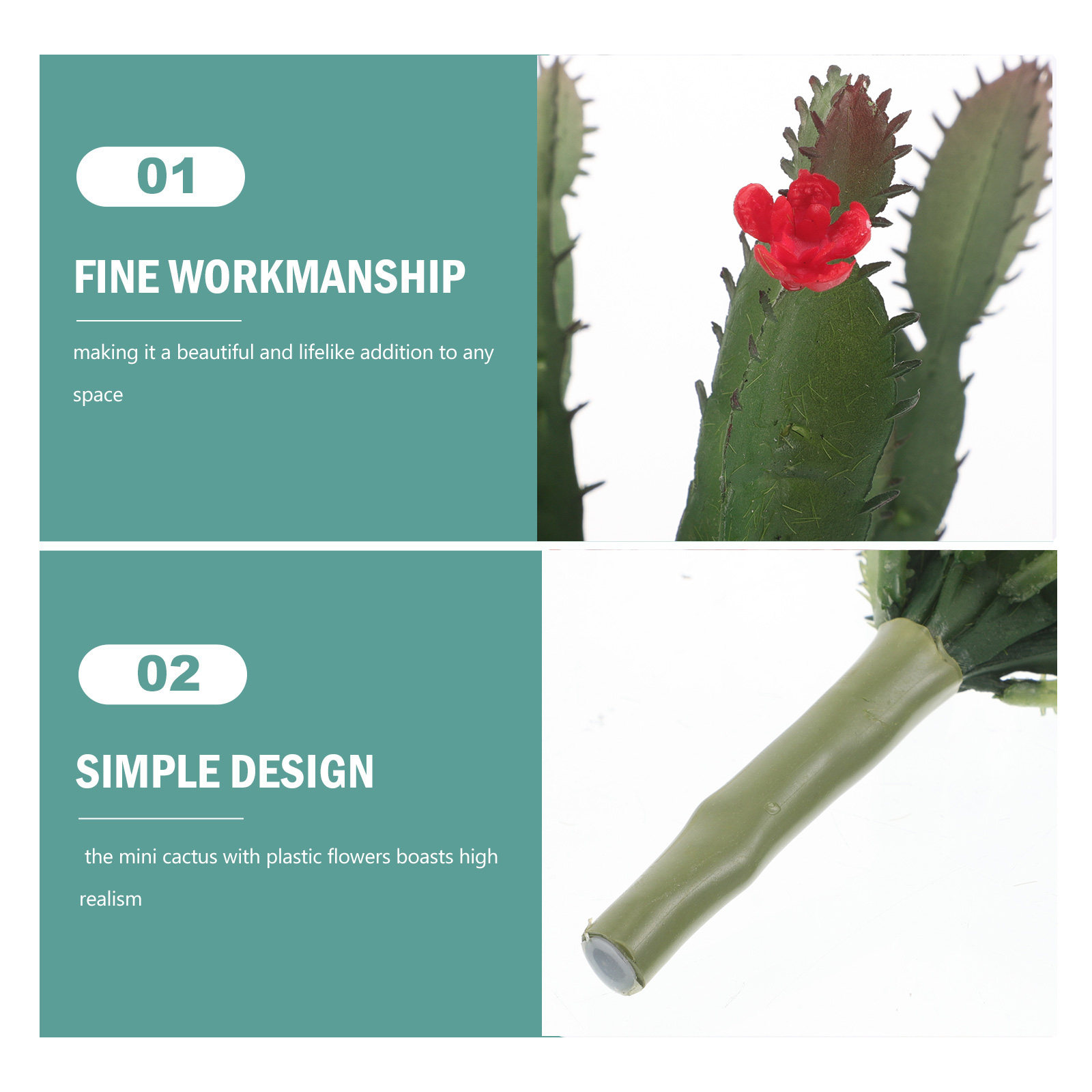 ترتيب صغير ساحر من نباتات الصب - مراجعة Succulent Arrangement Mini وسعره