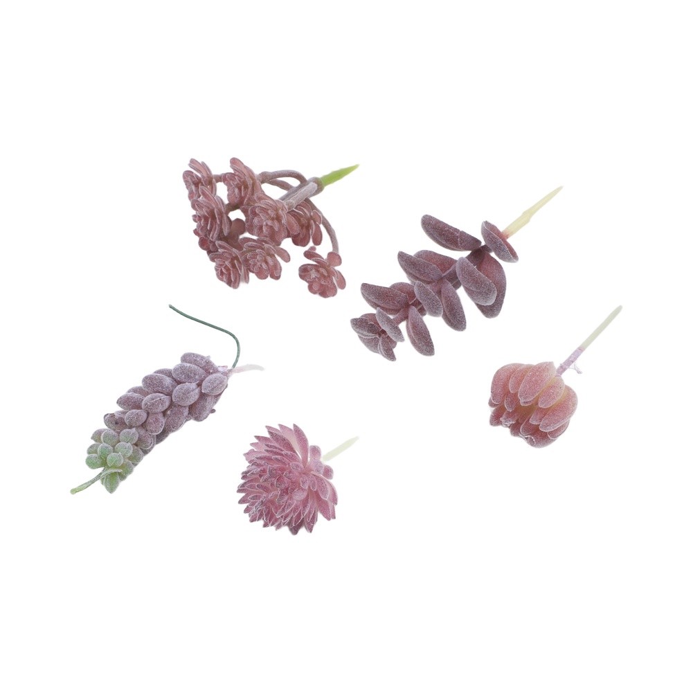 قطعة مركزية للطاولة مصنوعة من  - مراجعة Succulent Arrangement Mini وسعره