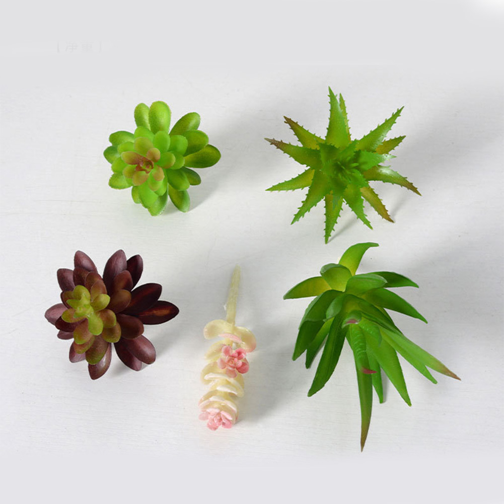 قطعة مركزية للطاولة مصنوعة من  - مراجعة Succulent Arrangement Mini وسعره