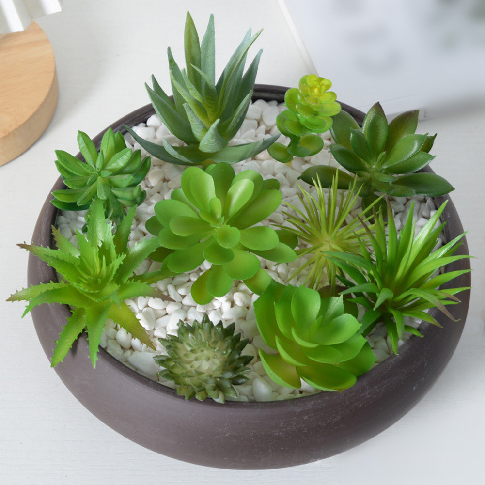 نباتات اصطناعية لتزيين المكاتب - مراجعة Succulent Arrangement Mini وسعره