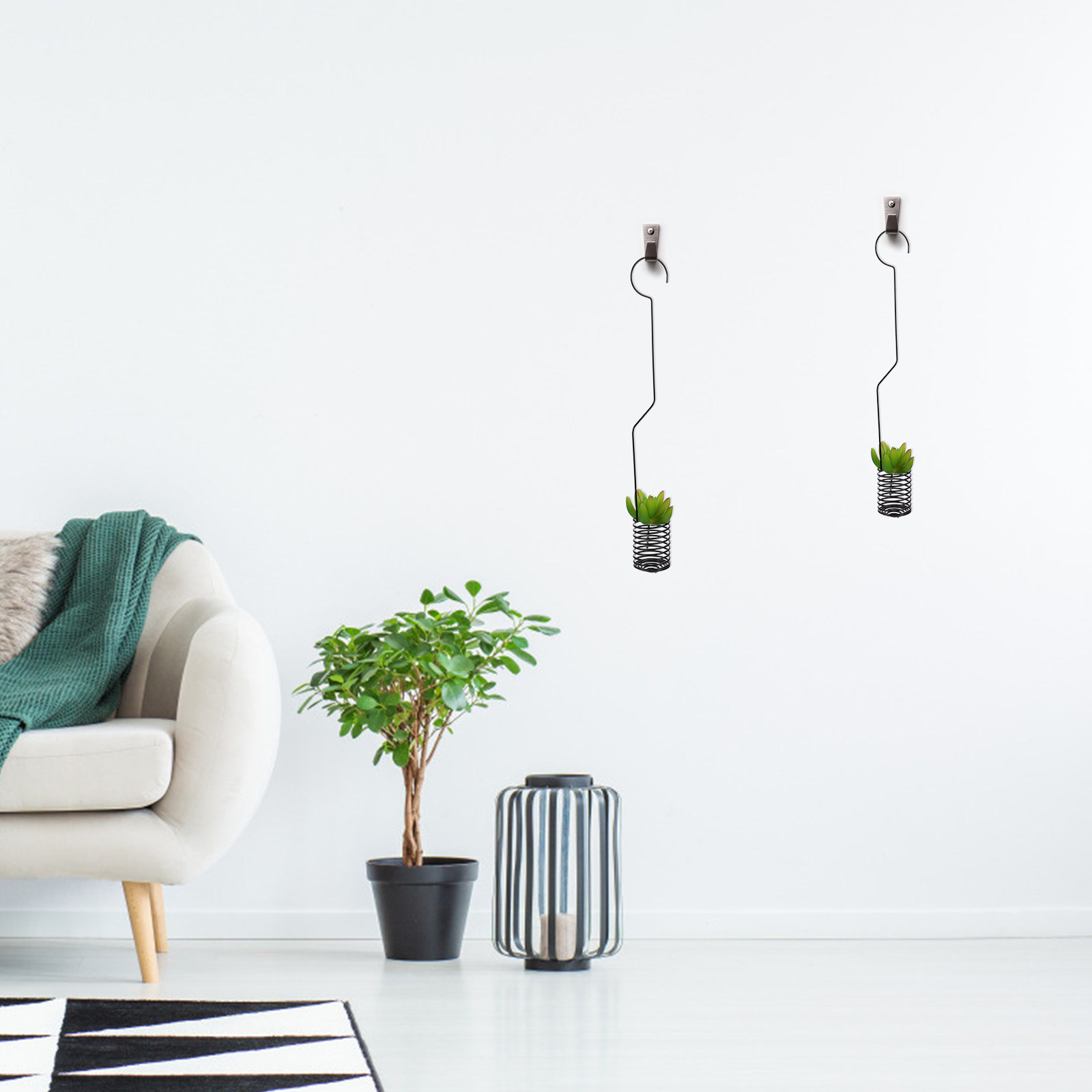 حامل نباتات هوائية 1 قطعة، وعا - مراجعة Air Plant Tillandsia وسعره