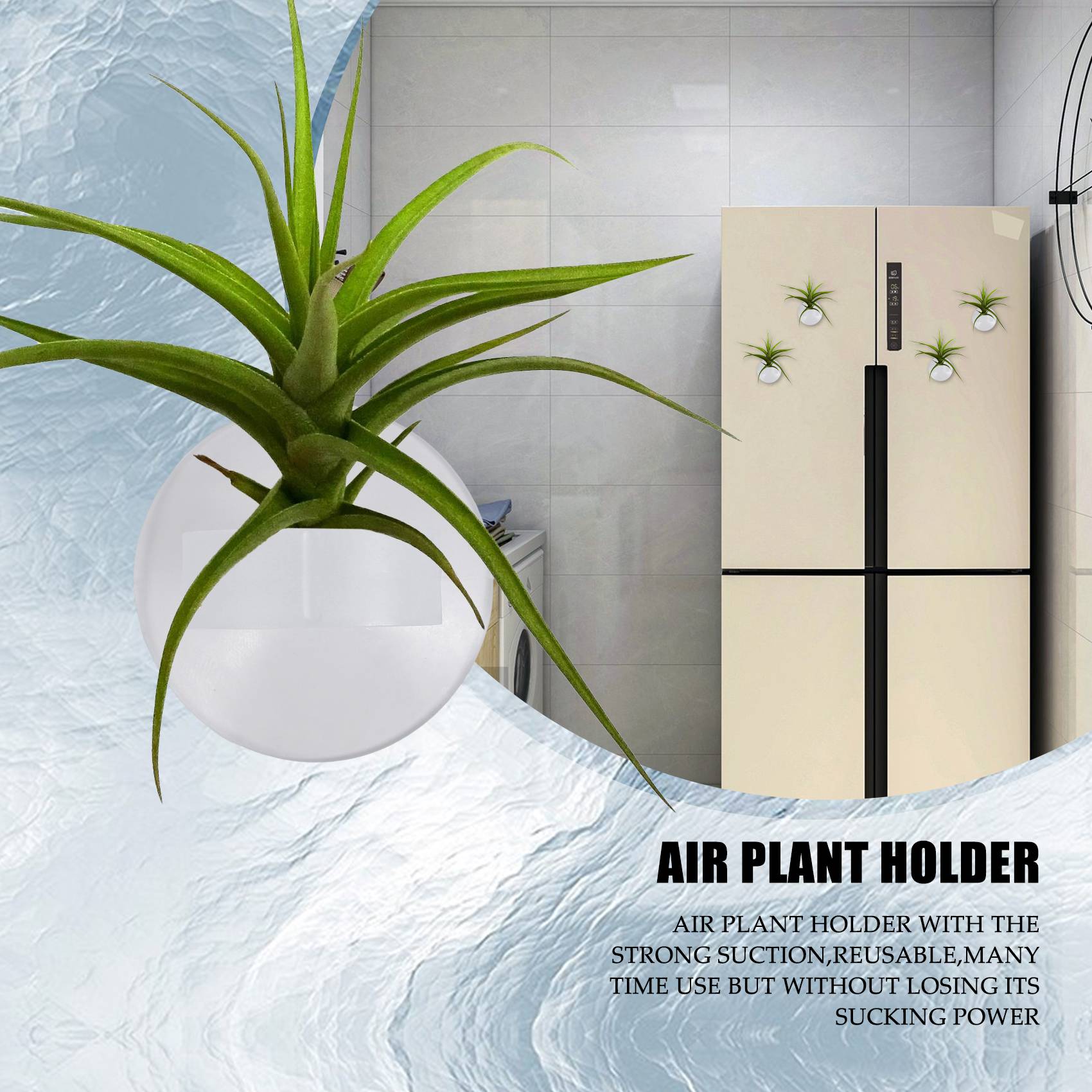 حامل نباتات هوائية AC76-20 قطع - مراجعة Air Plant Tillandsia وسعره