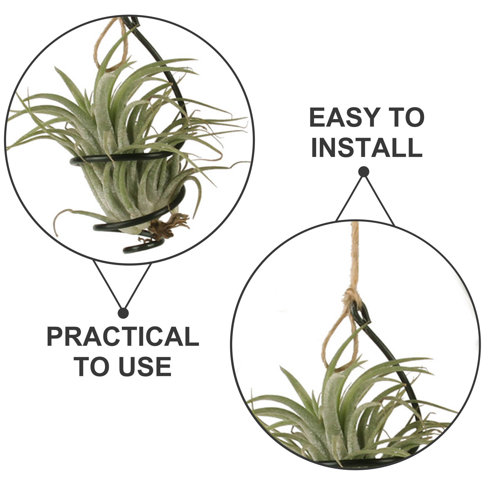 30 قطعة حامل نباتات هوائية معد - مراجعة Air Plant Tillandsia وسعره