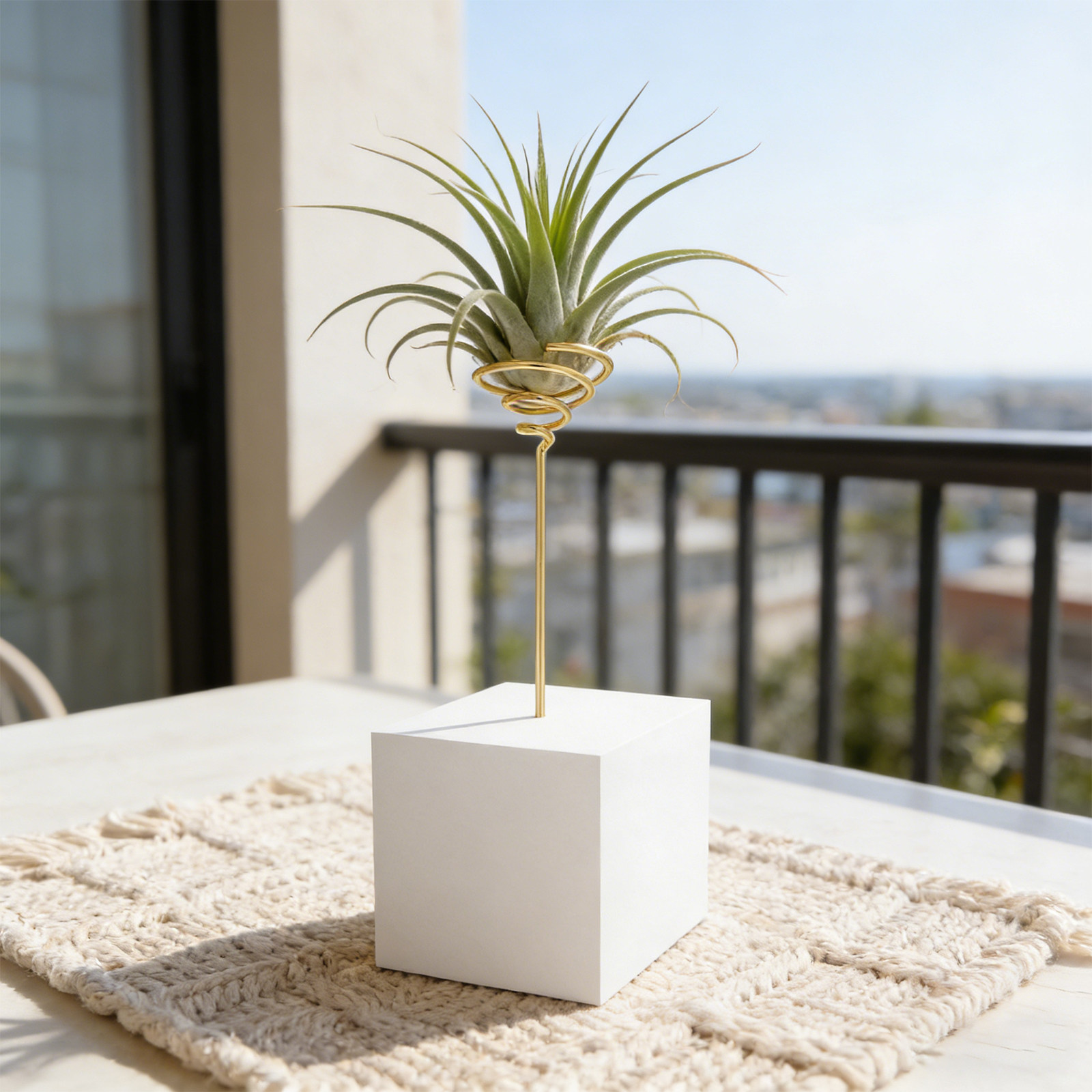 6 قطع حامل نباتات هوائية معدني - مراجعة Air Plant Tillandsia وسعره