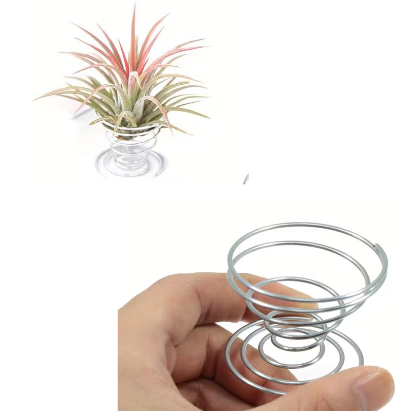1/10 قطعة من مجموعة حوامل الزن - مراجعة Air Plant Tillandsia وسعره