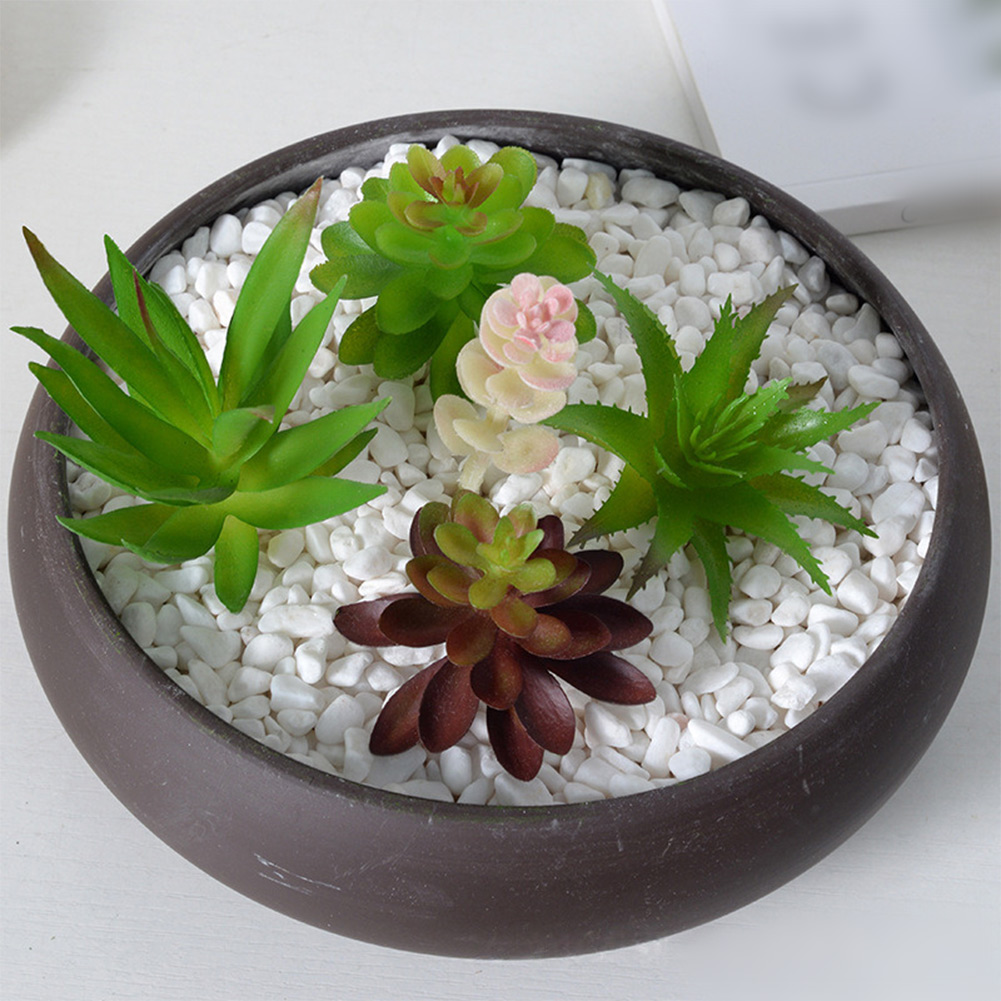 ترتيب نباتات عصارية اصطناعية ب - مراجعة Succulent Arrangement Mini وسعره