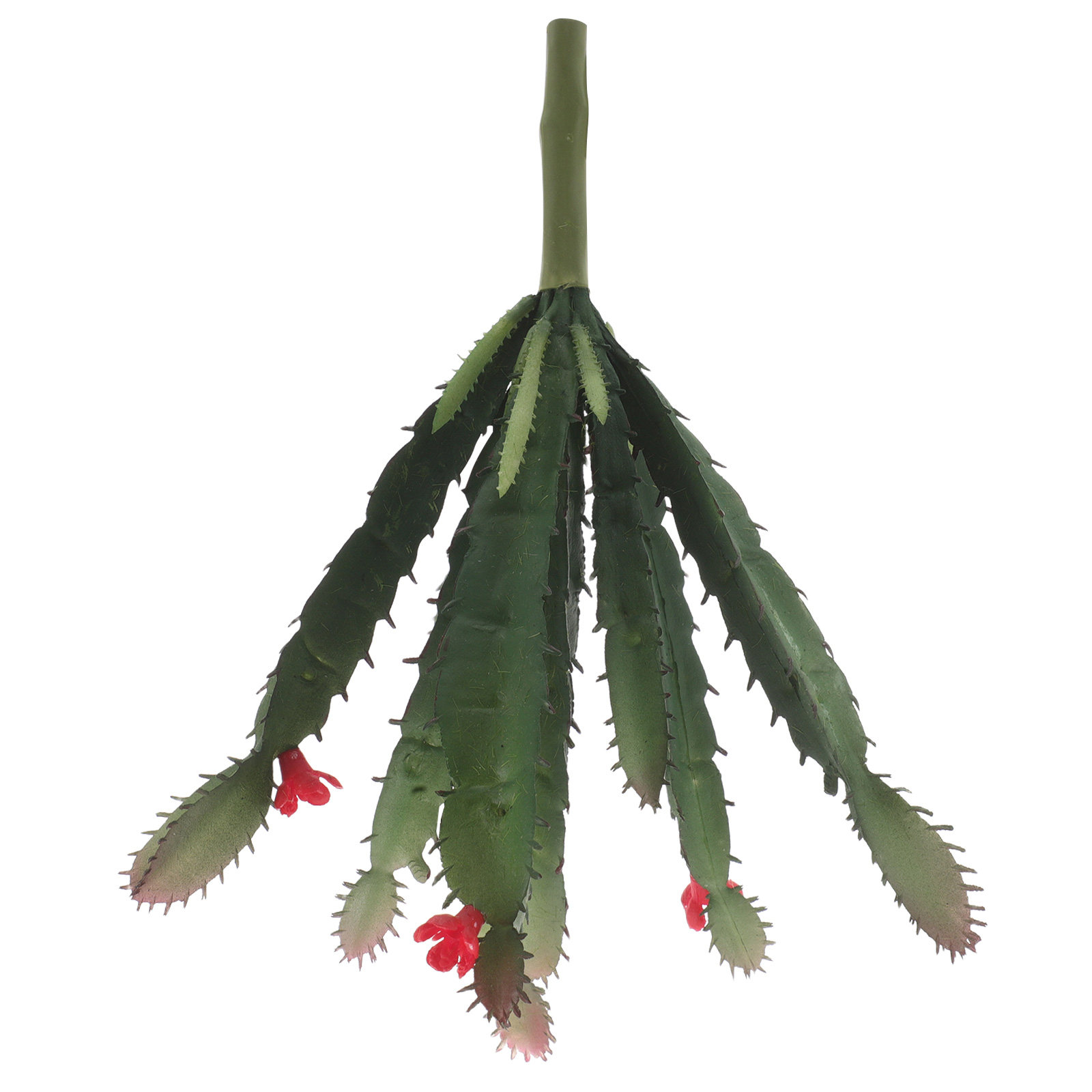 ترتيب نباتات صناعية صغيرة واقع - مراجعة Succulent Arrangement Mini وسعره