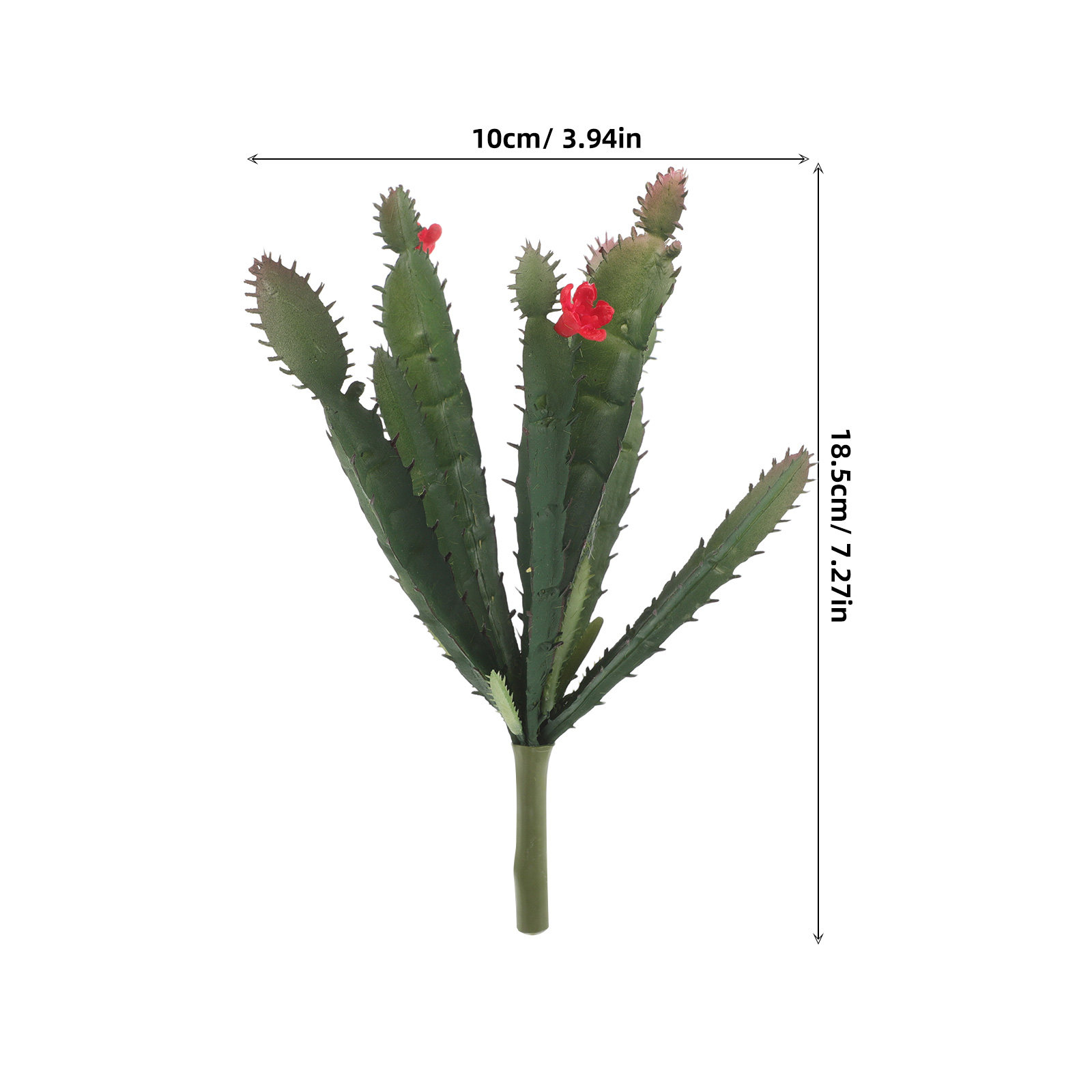 ترتيب نباتات صناعية صغيرة واقع - مراجعة Succulent Arrangement Mini وسعره