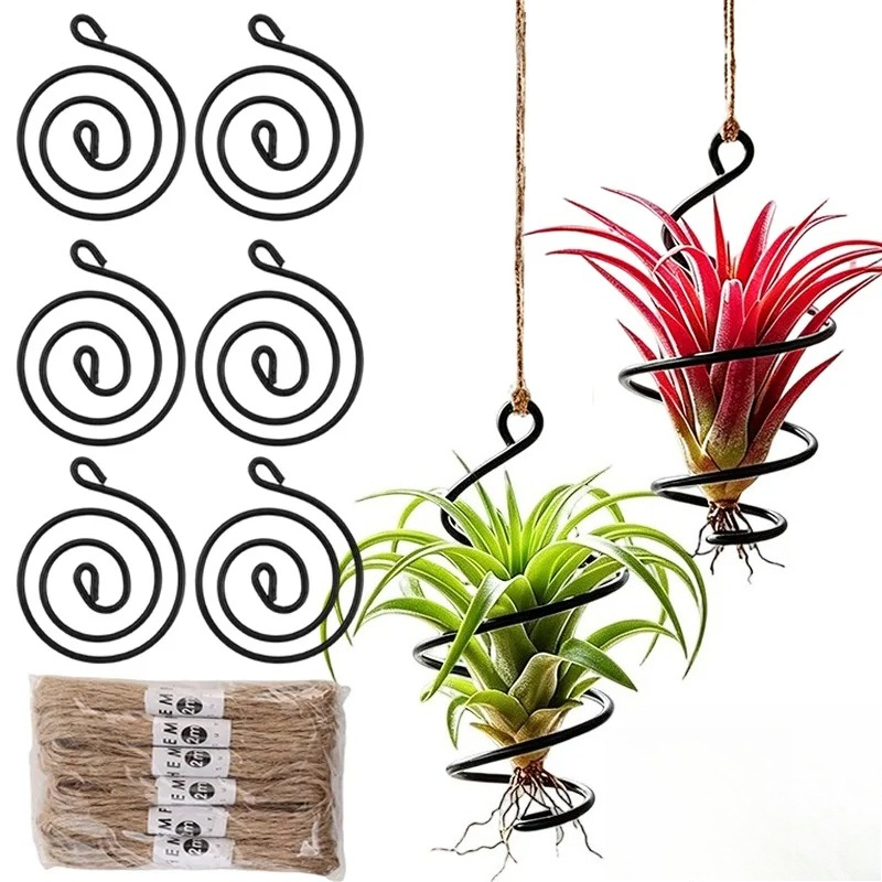 حاملات نباتات هوائية معلقة ممي - مراجعة Air Plant Tillandsia وسعره