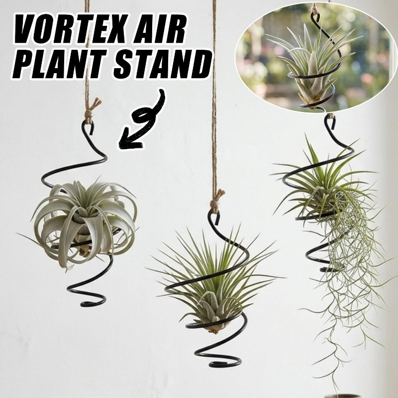 حاملات نباتات هوائية معلقة ممي - مراجعة Air Plant Tillandsia وسعره